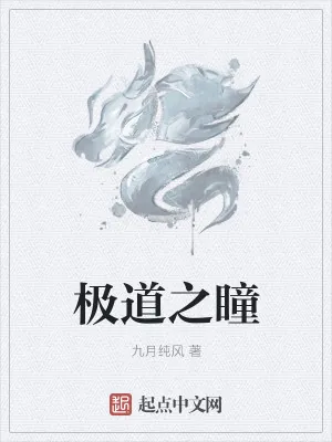 《极道之瞳》小说封面