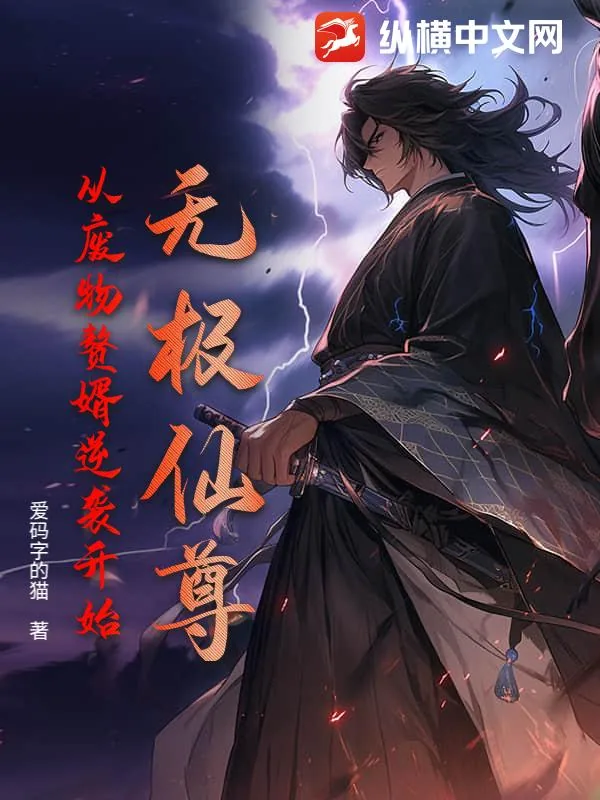 《无极仙尊：从废物赘婿逆袭开始》小说封面