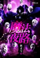《魔法夜路》小说封面