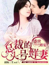 《总裁的头号鲜妻》小说封面