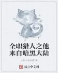 《全职猎人之他来自暗黑大陆》小说封面