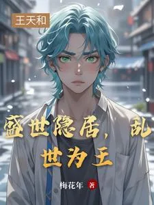 《盛世隐居，乱世为王》小说封面