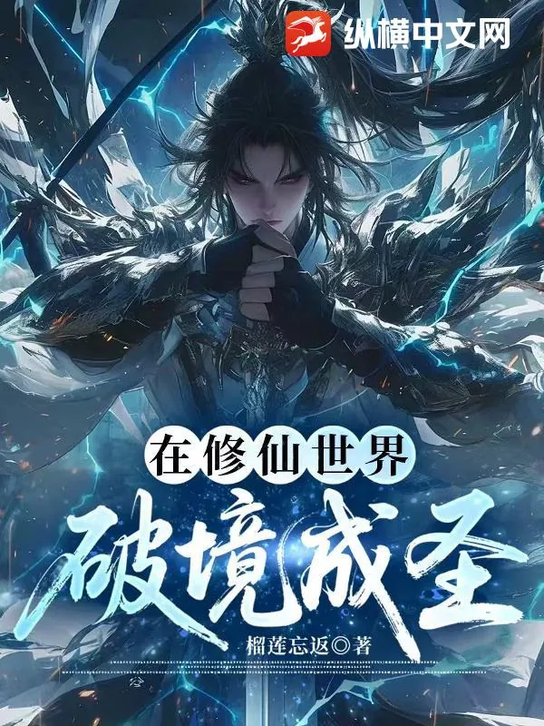 《在修仙世界破境成圣》小说封面