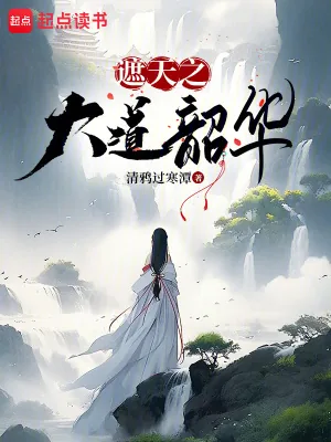 《遮天之大道韶华》小说封面