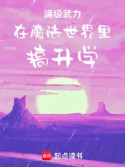《满级武力在魔法世界里搞升学》小说封面
