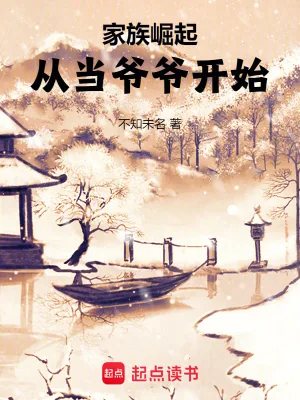 《家族崛起：从当爷爷开始》小说封面