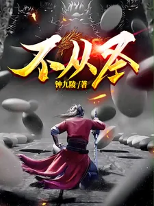 《不从圣》小说封面