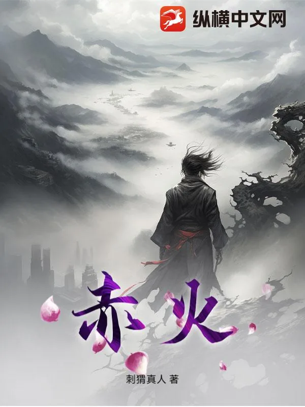 《赤火》小说封面