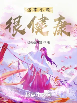 《这本小说很健康》小说封面