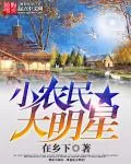 《小农民大明星》小说封面