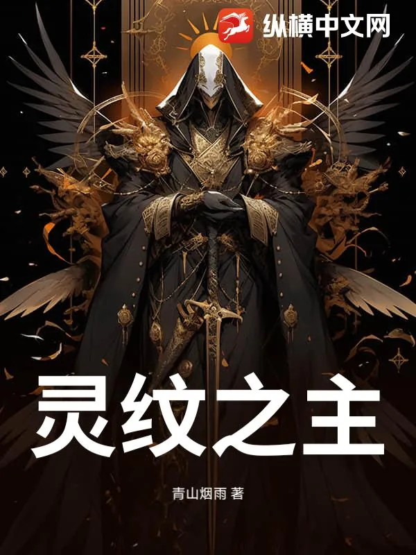 《灵纹之主》小说封面