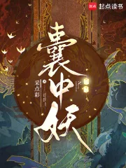 《囊中妖》小说封面