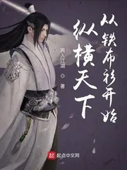 《纵横天下从铁布衫开始》小说封面