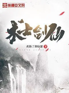 《术士剑仙》小说封面