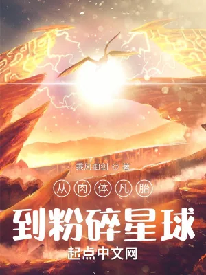 《从肉体凡胎到粉碎星球》小说封面