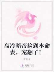 《高冷暗帝捡到本命妻,宠翻了!》小说封面