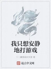 《我只想安静地打游戏》小说封面