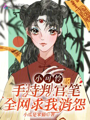 《小可怜手持判官笔,全网求我消怨》小说封面