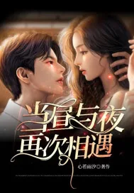 《当昼与夜再次相遇》小说封面
