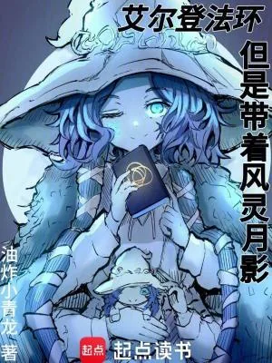 《艾尔登法环，但是带着风灵月影》小说封面