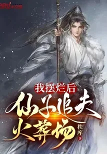 《我摆烂后，仙子追夫火葬场》小说封面