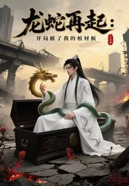 《龙蛇再起：开局掀我棺材板》小说封面