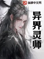《异界灵师》小说封面