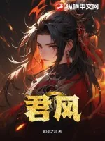 《君风》小说封面