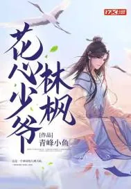 《花心少爷林枫》小说封面