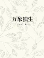 《万象独生》小说封面