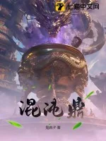《混沌鼎》小说封面