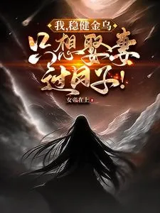 《我，稳健金乌，只想娶妻过日子！》小说封面