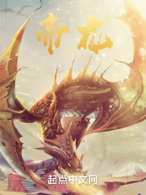 《帝龙》小说封面