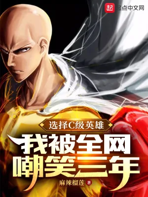 《选择C级英雄，我被全网嘲笑三年》小说封面