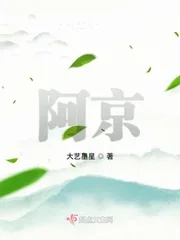 《阿京》小说封面
