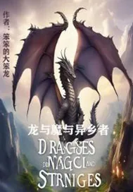 《龙与魔与异乡者》小说封面
