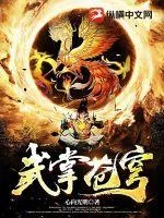 《武掌苍穹》小说封面