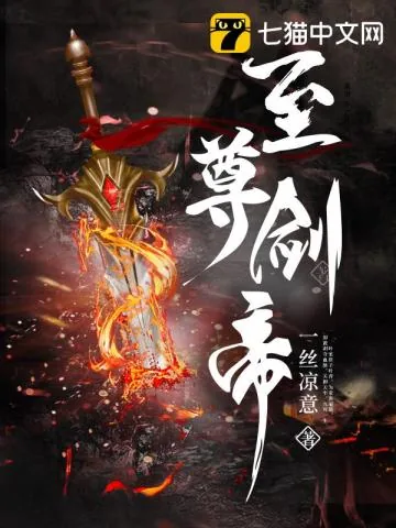 《至尊剑帝》小说封面