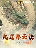 《九龙吞天诀》小说封面
