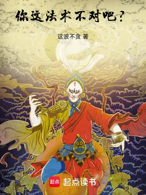 《你这法术不对吧?》小说封面