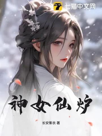《神女仙炉》小说封面