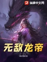 《无敌龙帝》小说封面
