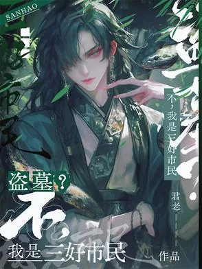《盗墓？不，我是三好市民》小说封面