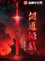 《剑道极巅》小说封面