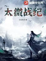 《太微战纪》小说封面