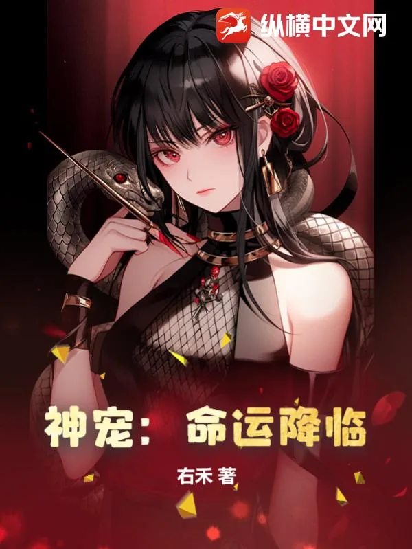 《神宠：命运降临》小说封面