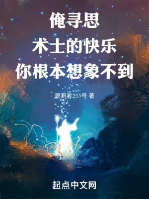 《俺寻思术士的快乐你根本想象不到》小说封面