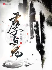 《拜见君子》小说封面