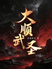 《大顺武圣！》小说封面