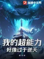 《我的超能力好像过于逆天》小说封面